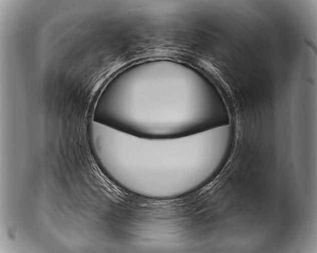 X0000101121260200806261037