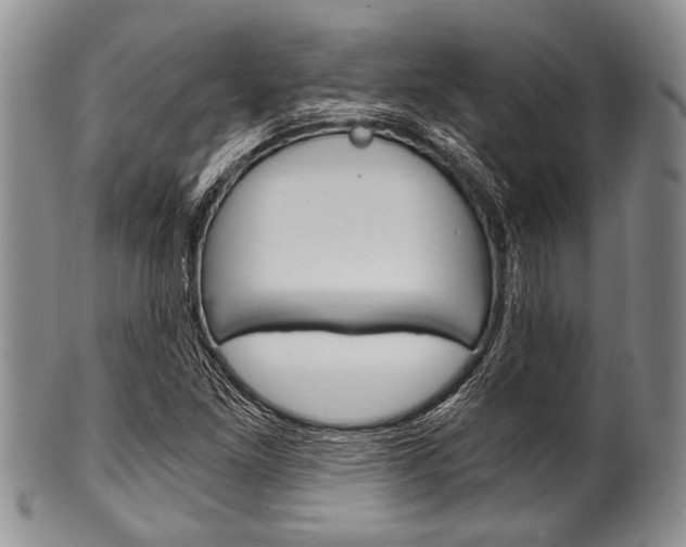 X0000101121261200806261037