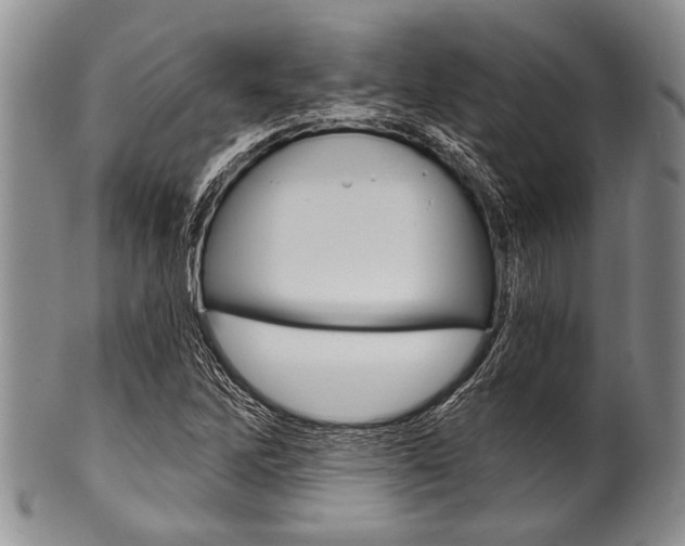 X0000101121262200806261037