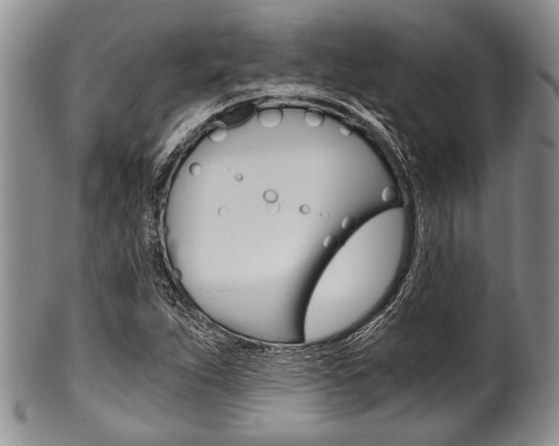 X0000101121263200806261037