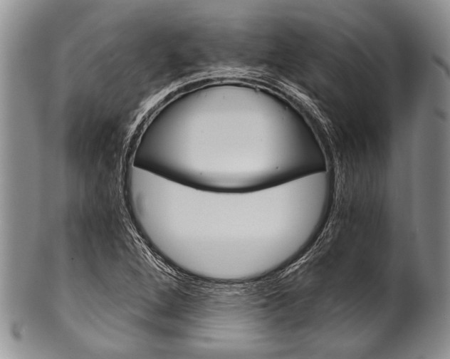 X0000101121264200806261037