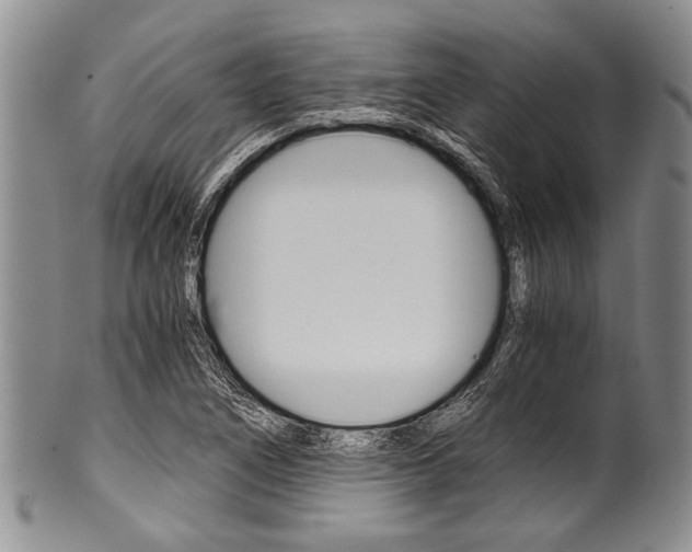 X0000101121266200806261037