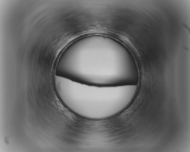 X0000101121268200806261037
