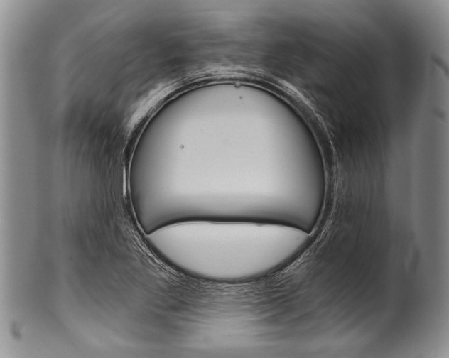 X0000101121269200806261037