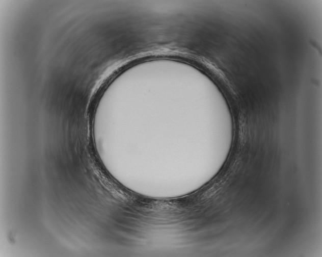 X0000101121270200806261037