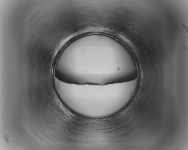X0000101121272200806261037