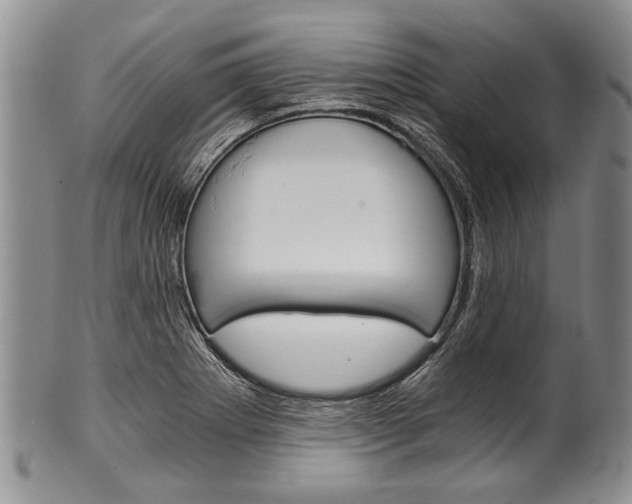 X0000101121273200806261037