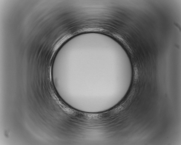 X0000101121274200806261037