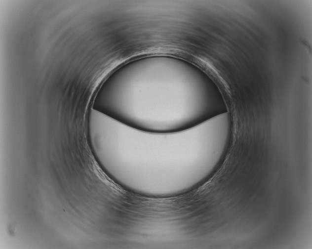 X0000101121276200806261036