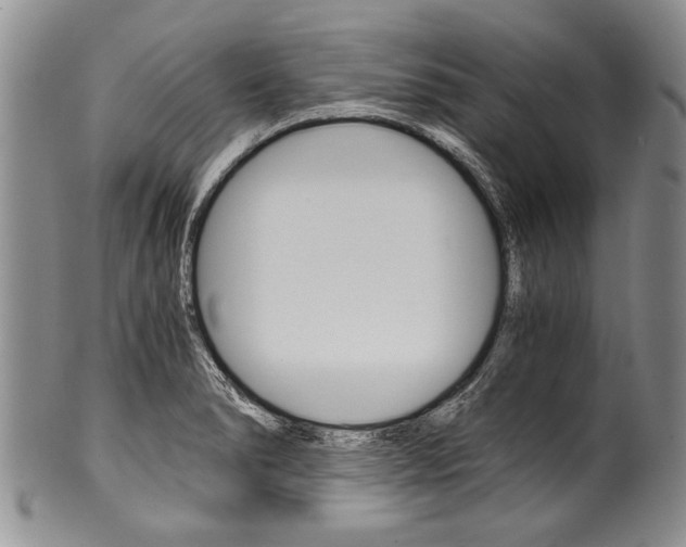 X0000101121278200806261036