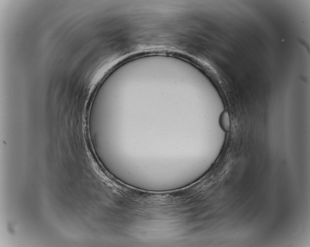X0000101121279200806261036