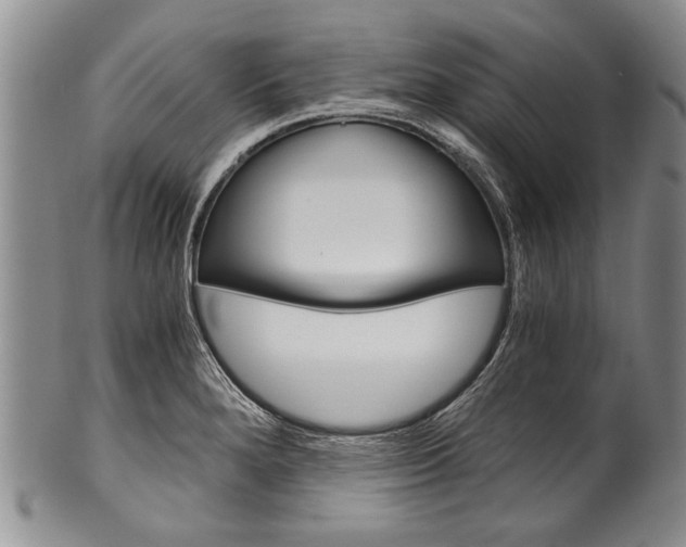 X0000101121280200806261036