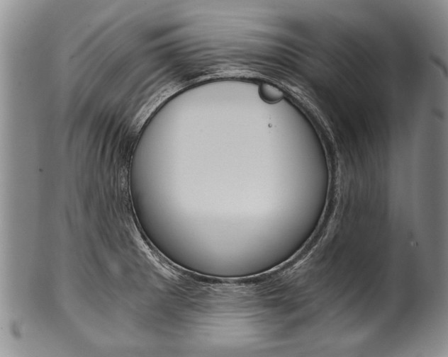 X0000101121281200806261036