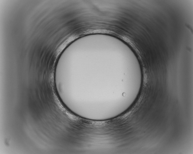 X0000101121282200806261036