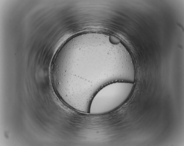 X0000101121283200806261036