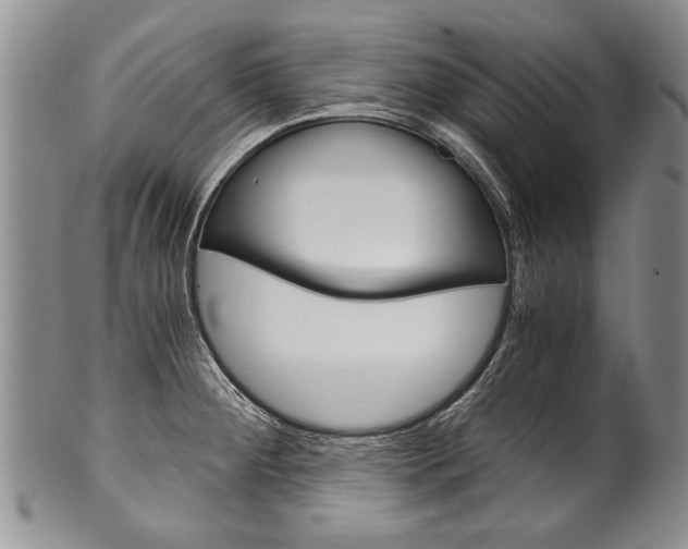 X0000101121284200806261036