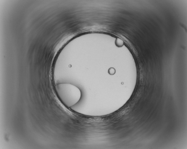 X0000101121285200806261036