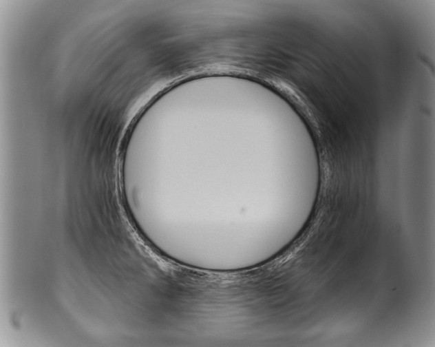 X0000101121286200806261036