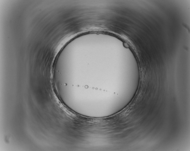 X0000101121287200806261036
