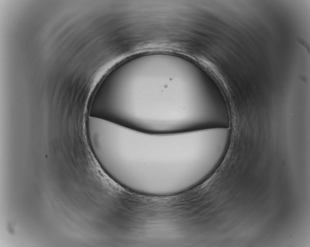 X0000101121288200806261036