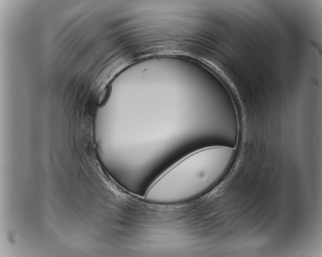 X0000101121289200806261036