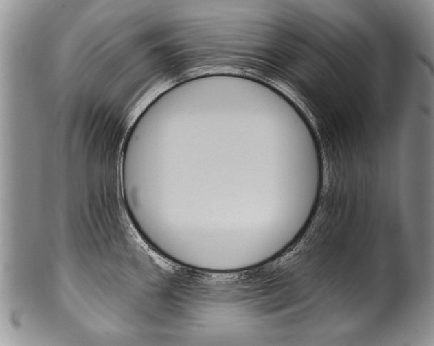 X0000101121290200806261036