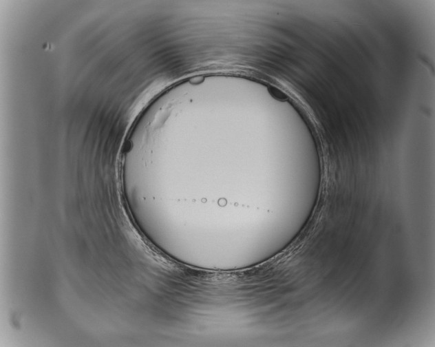 X0000101121291200806261036
