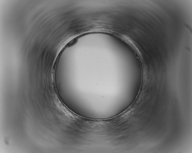 X0000101121292200806261036