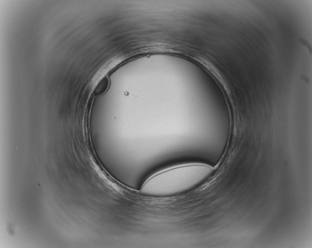 X0000101121293200806261036