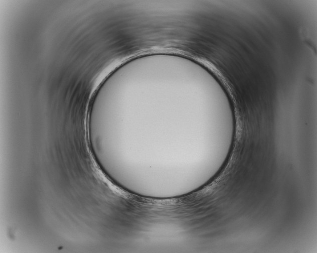 X0000101121294200806261036