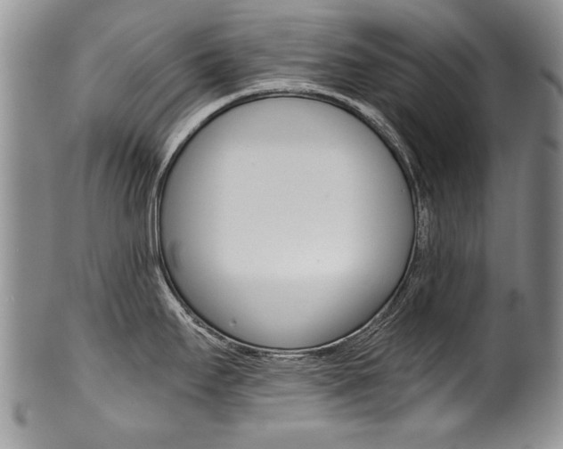 X0000101121295200806261036