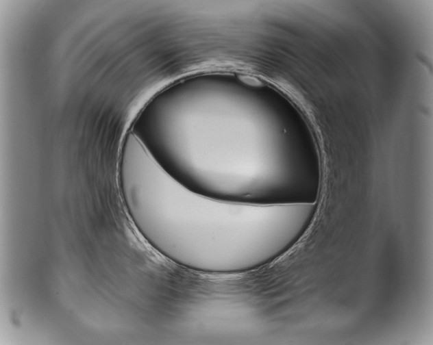X0000101121296200806261036