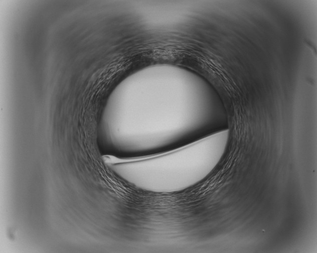 X0000101121297200806261036