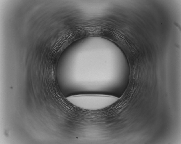 X0000101121298200806261036