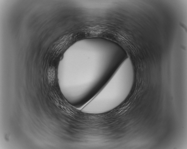 X0000101121299200806261036