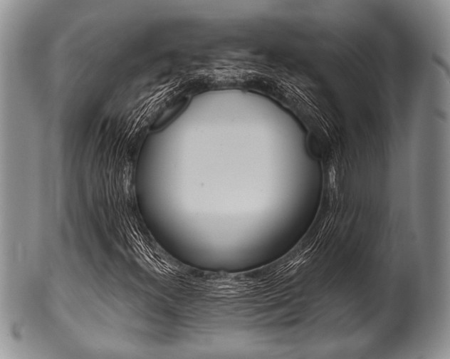 X0000101121300200806261036