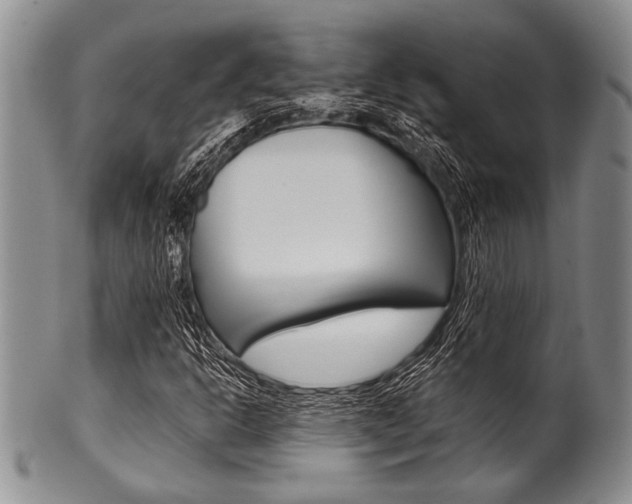 X0000101121302200806261036