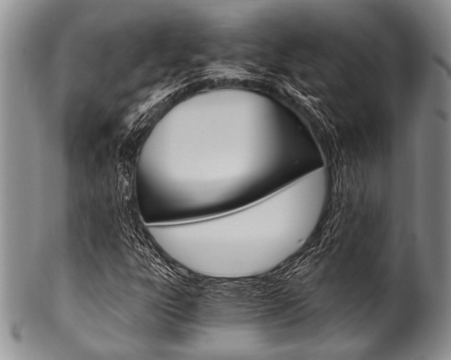 X0000101121303200806261036