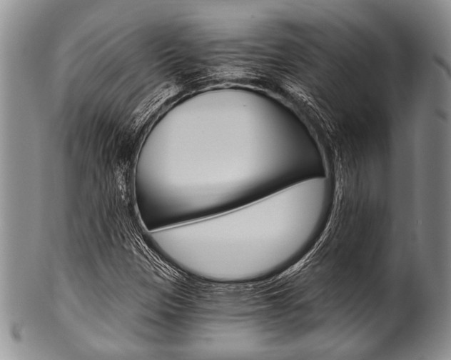X0000101121305200806261036