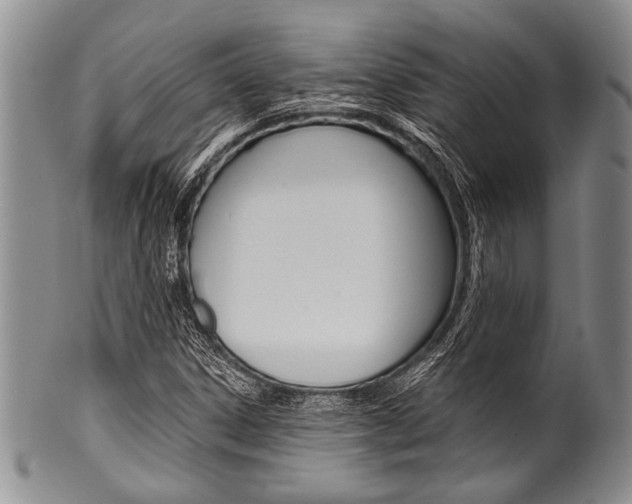 X0000101121306200806261036