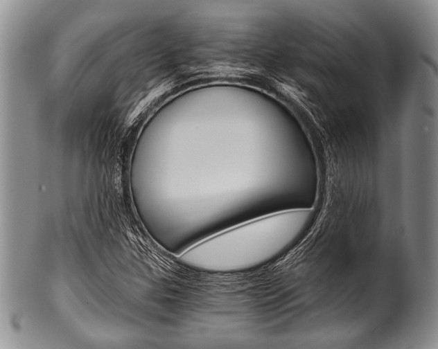 X0000101121307200806261036