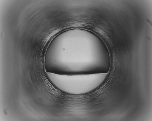 X0000101121308200806261036