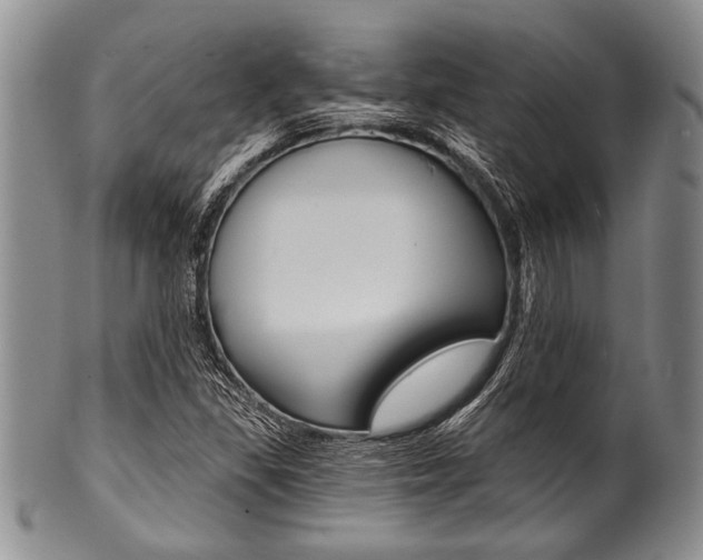 X0000101121309200806261036