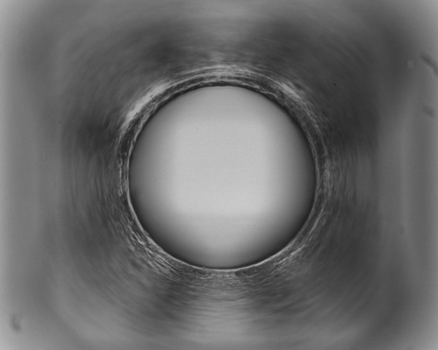 X0000101121310200806261036