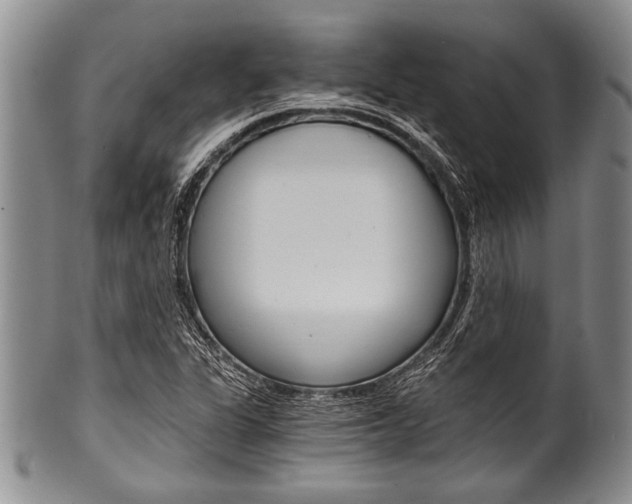 X0000101121311200806261036