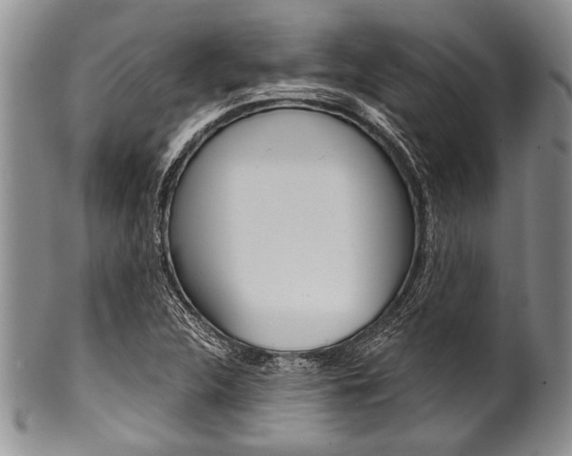 X0000101121312200806261036
