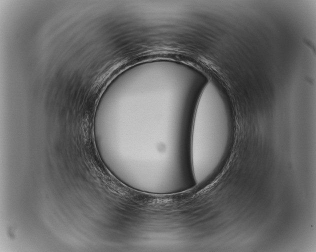 X0000101121313200806261036