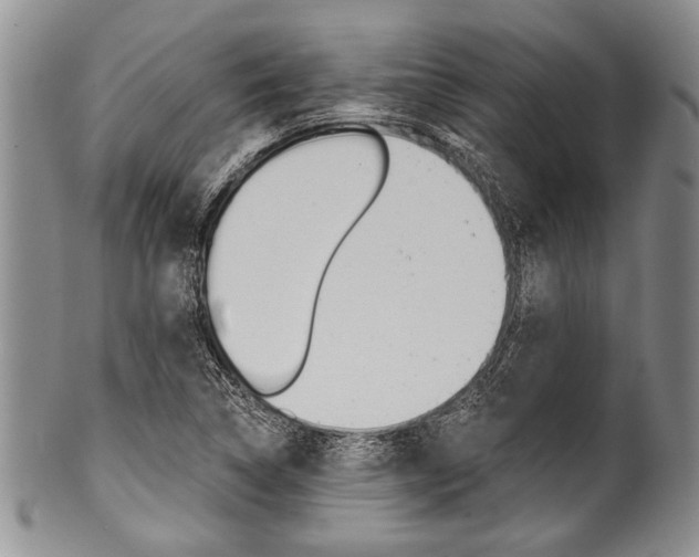X0000101121314200806261036