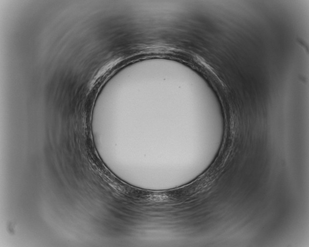 X0000101121315200806261036