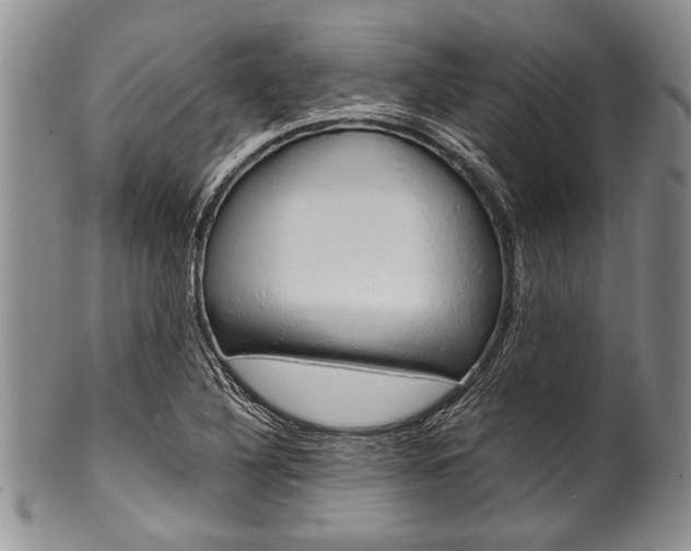 X0000101121316200806261036